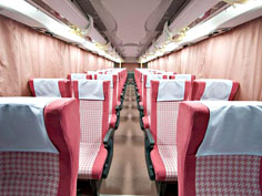 チェリッシュバスシート写真