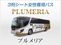 プルメリアグランデバス写真