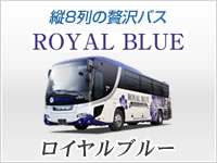 ロイヤルブルーバス写真