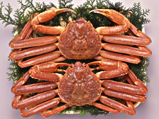 有数のカニの産地！