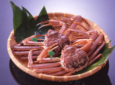 浴衣が似合う古い街並み