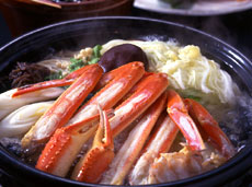 外湯巡りを楽しむ