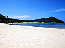 有数のカニの産地！