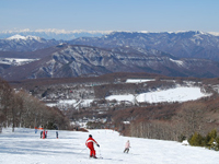 スキー場一例