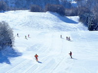 スキー場一例
