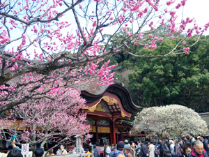 福岡まで高速バスを使って大宰府観光