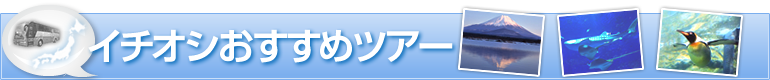 イオチオシおすすめツアー